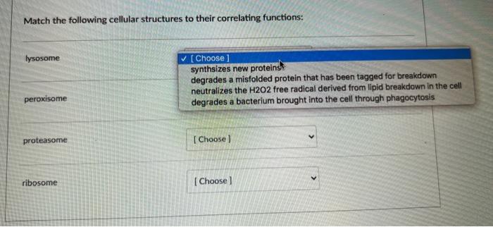 Which Of The Following Is Not True Of Phospholipids O The Fatty Acid Tails Are Hydrophilic O The Heads Of The Phospholi 2