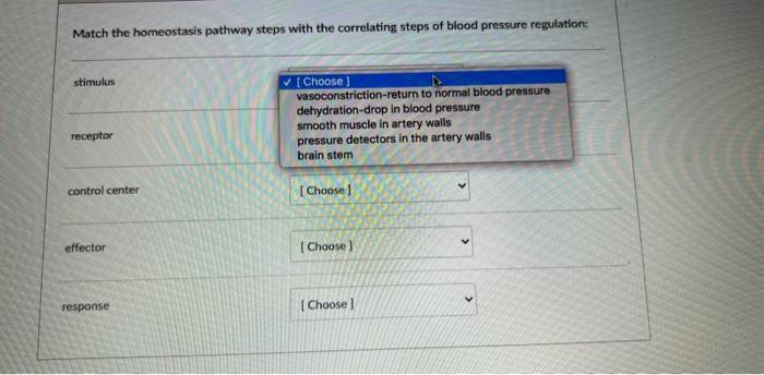 Match The Homeostasis Pathway Steps With The Correlating Steps Of Blood Pressure Regulation Stimulus Receptor Control C 1