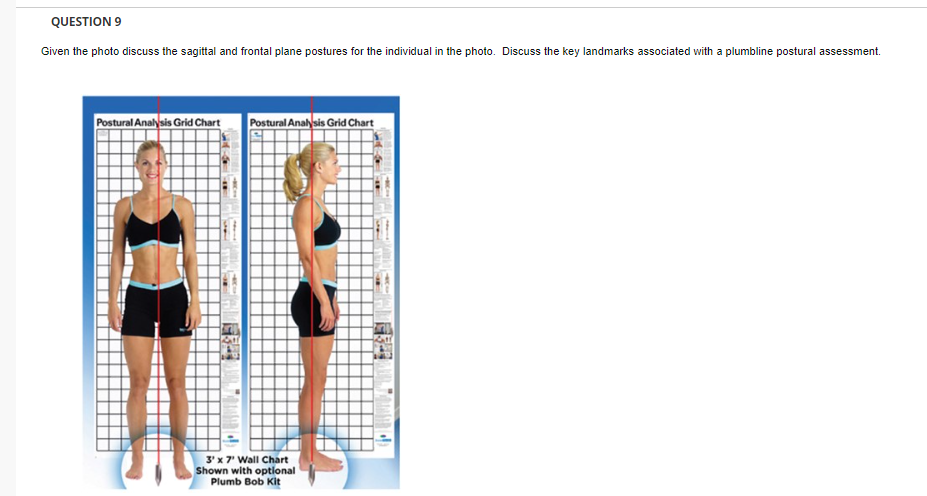 Question 9 Given The Photo Discuss The Sagittal And Frontal Plane Postures For The Individual In The Photo Discuss The 1