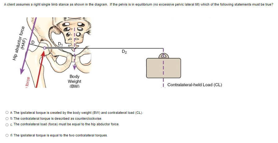 A Client Assumes A Right Single Limb Stance As Shown In The Diagram If The Pelvis Is In Equilibrium No Excessive Pelvi 1