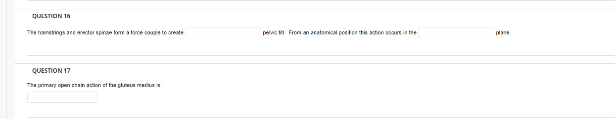 Question 16 The Hamstrings And Erector Spinae Form A Force Couple To Create Question 17 The Primary Open Chain Action Of 1