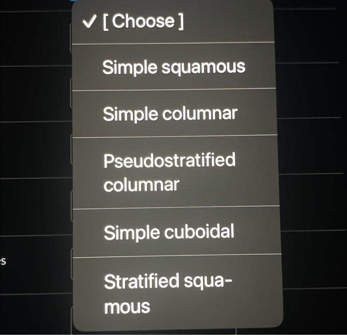 Match The Location With It S Epithelium Alveoli Main Bronchi Laryngopharynx Nasopharynx Oropharynx Respiratory Bronchio 2