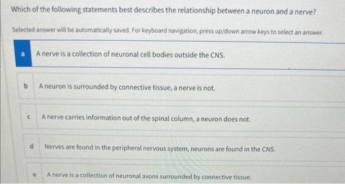 Which Of The Following Cells Are Involved In The Maintenance Of The Blood Brain Barrier Multiple Answers Multiple Answ 2