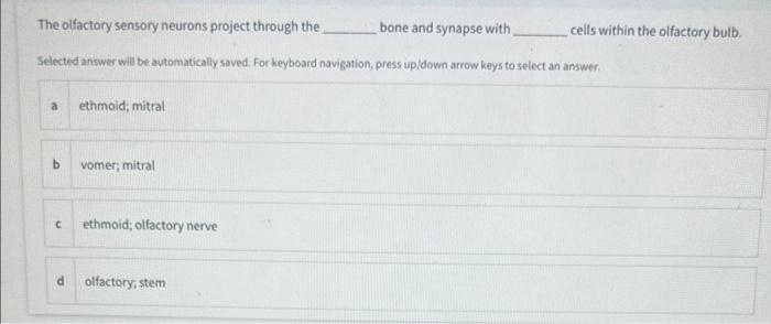 The Olfactory Sensory Neurons Project Through The Bone And Synapse With Selected Answer Will Be Automatically Saved For 1