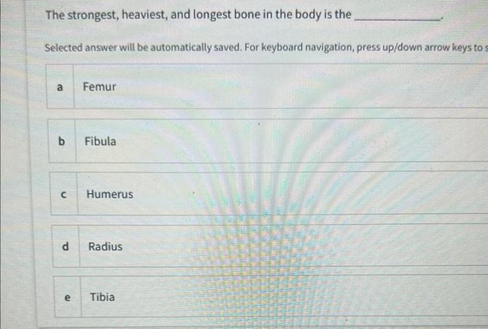The Strongest Heaviest And Longest Bone In The Body Is The Selected Answer Will Be Automatically Saved For Keyboard N 1