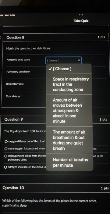 D Question 8 0 0 Match The Terms To Their Definitions Anatomic Dead Space Pulmonary Ventilation Respiratory Rate Tidal 2