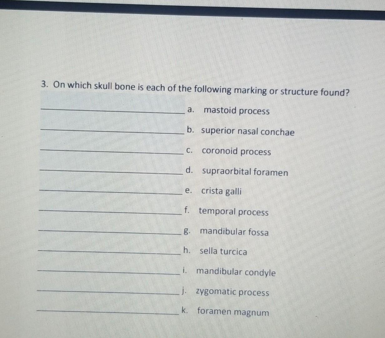 3 On Which Skull Bone Is Each Of The Following Marking Or Structure Found Mastoid Process B Superior Nasal Conchae Co 1