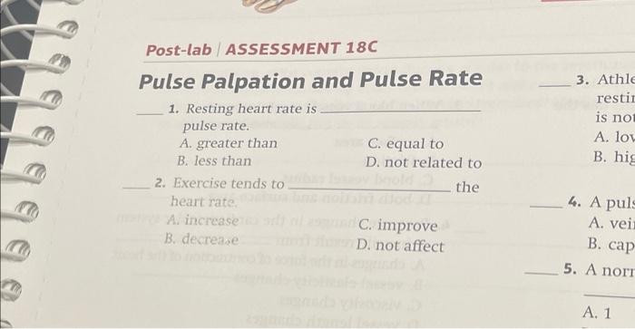 20 Figure 18 27 Arteries And Veins Of The Lower Limb Post Lab Assessment 18c Pulse Palpation And Pulse Rate 1 Restin 4