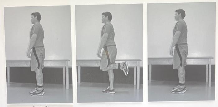 B What Plane Of Motion Is This Exercise Occuring In C Around What Axis Is The Exercise Occuring D How Is The Knee M 1