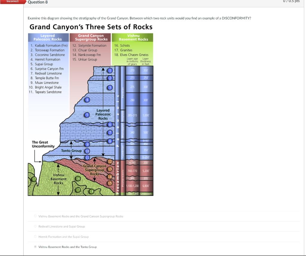 Incorrect Question 8 Examine This Diagram Showing The Stratigraphy Of The Grand Canyon Between Which Two Rock Units Wou 1