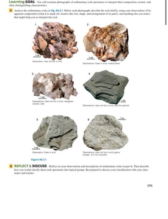 Learning Goal You Will Examine Photographs Of Sedimentary Rock Specimens To Interpret Their Composition Texture And Ch 1