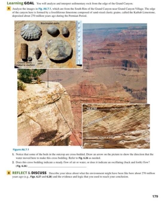 Learning Goal You Will Analyze And Interpret Sedimentary Rock From The Edge Of The Grand Canyon A Analyze The Images In 1