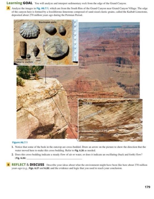 Learning Goal You Will Analyze And Interpret Sedimentary Rock From The Edge Of The Grand Canyon A Analyze The Images In 1