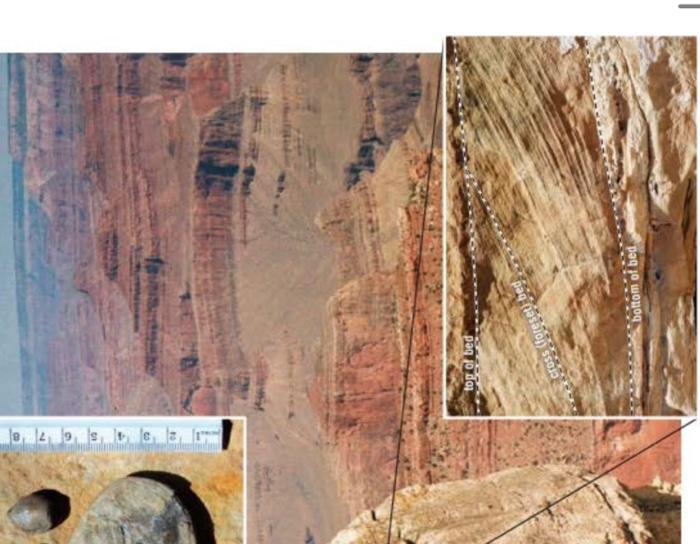 Learning Goal You Will Analyze And Interpret Sedimentary Rock From The Edge Of The Grand Canyon A Analyze The Images In 3