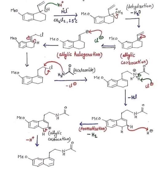 Meo Meo Meo Meo 2124 Oh Me O H Hul Ch U 25 C Meo Allylic Halogenation H N Acetamide 40 H Allylic I Carbocat 1