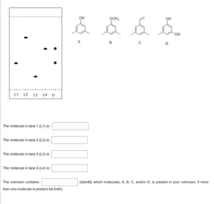 L1 L2 L3 L4 U The Molecule In Lane 1 L1 Is The Molecule In Lane 2 L2 Is The Molecule In Lane 3 L3 Is The Molecu 1