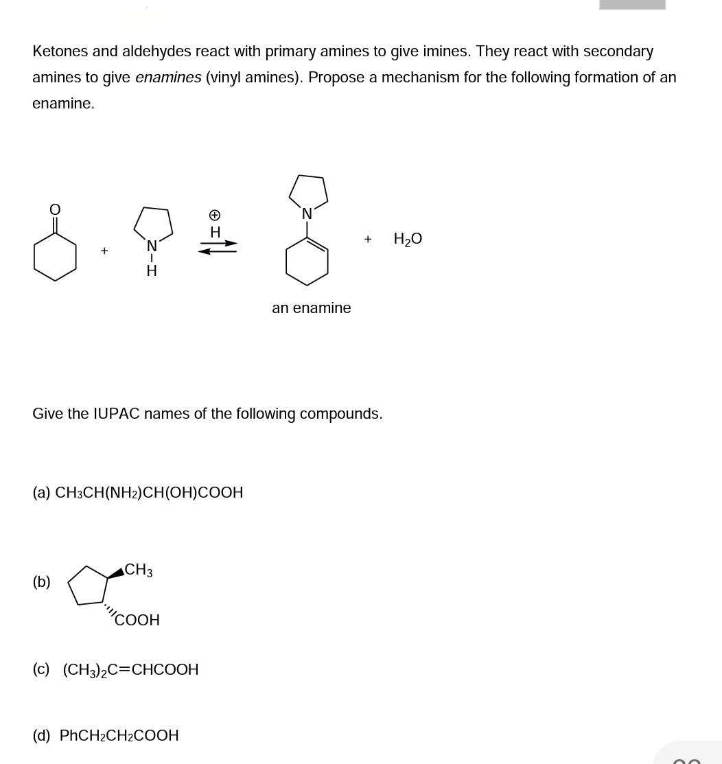 Ketones And Aldehydes React With Primary Amines To Give Imines They React With Secondary Amines To Give Enamines Vinyl 1