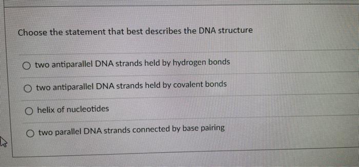 Choose The Statement That Best Describes The Dna Structure Two Antiparallel Dna Strands Held By Hydrogen Bonds O Two Ant 1