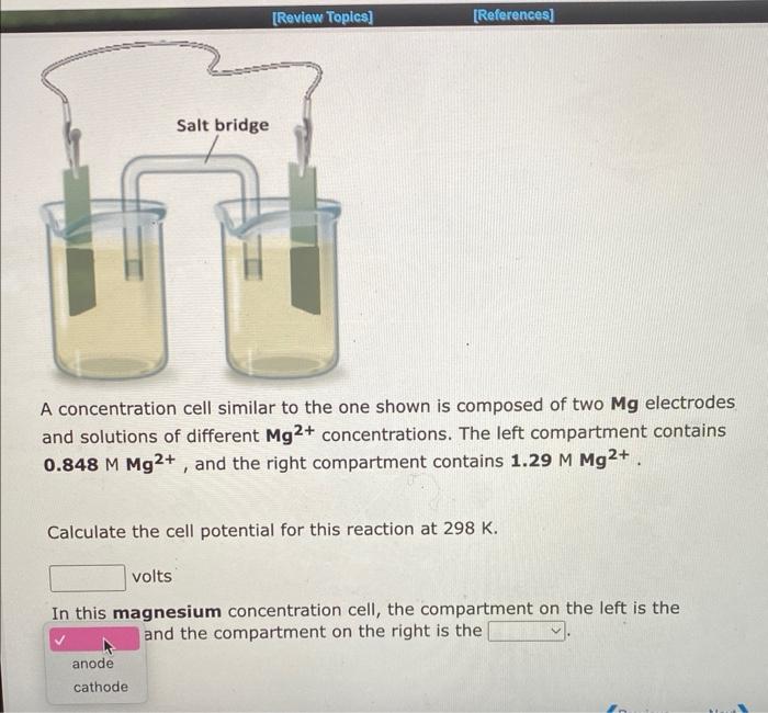 Salt Bridge Review Topics References A Concentration Cell Similar To The One Shown Is Composed Of Two Mg Electrodes 1