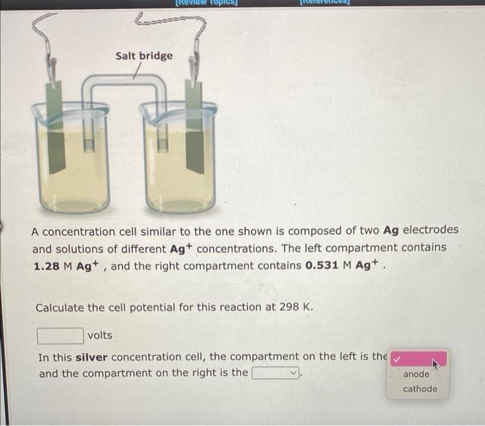 Salt Bridge Review Topics References A Concentration Cell Similar To The One Shown Is Composed Of Two Mg Electrodes 2