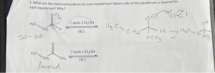 1 What Are The Expected Products For Each Equilibrium Which Side Of The Equilibrium Is Favored For Each Equilibrium W 1