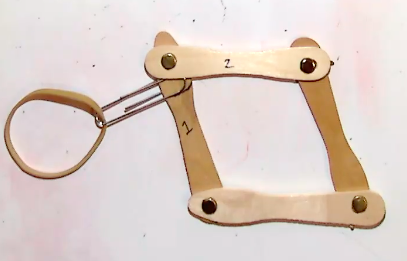 Study The Model And Describe Below What Each Of The Listed Parts Or Actions Of The Model Represents On An Actual Hemog 1