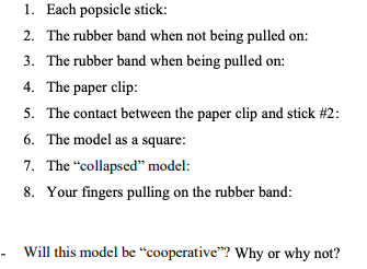 Study The Model And Describe Below What Each Of The Listed Parts Or Actions Of The Model Represents On An Actual Hemog 2