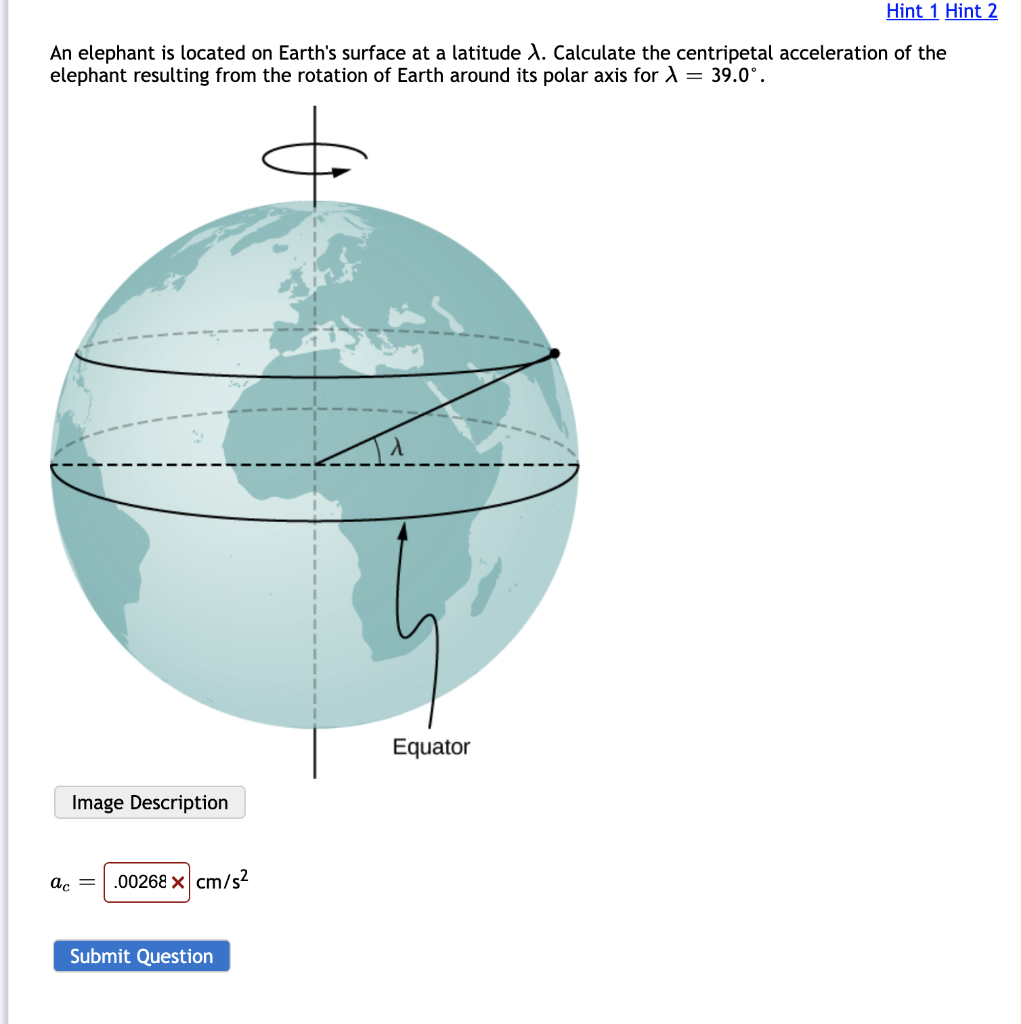 Hint 1 Hint 2 An Elephant Is Located On Earth S Surface At A Latitude X Calculate The Centripetal Acceleration Of The E 1