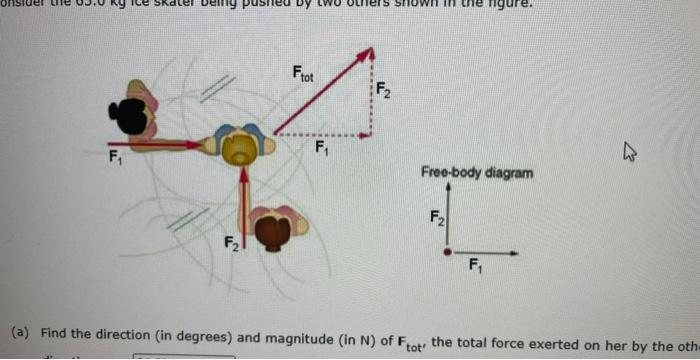 Consider The 65 0 Kg Ice Skater Being Pushed By Two Others Shown In The Figure A Find The Direction In Degrees And M 2