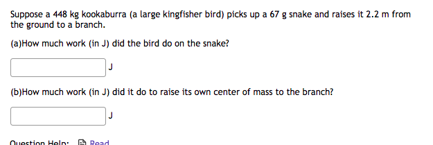 Suppose A 448 Kg Kookaburra A Large Kingfisher Bird Picks Up A 67 G Snake And Raises It 2 2 M From The Ground To A Bra 1