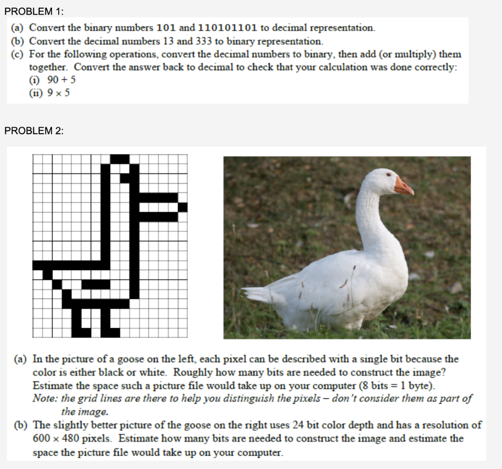 Problem 1 A Convert The Binary Numbers 101 And 110101101 To Decimal Representation B Convert The Decimal Numbers 1 1