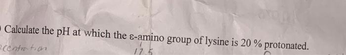 Calculate The Ph At Which The C Amino Group Of Lysine Is 20 Protonated Centration 12 5 1