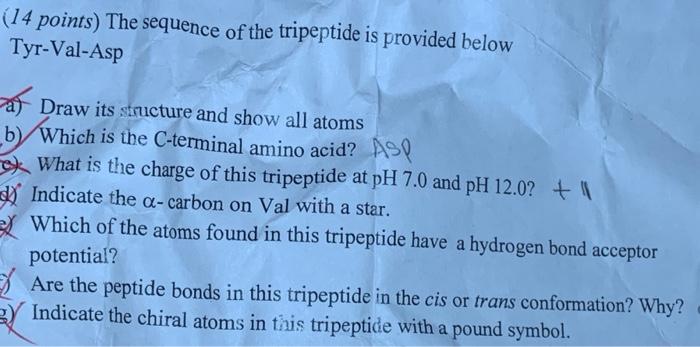 14 Points The Sequence Of The Tripeptide Is Provided Below Tyr Val Asp Draw Its Structure And Show All Atoms B Which 1