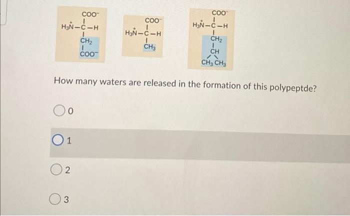 Coo H N C H Ch Coo 0 Ch Ch An Ch Ch How Many Waters Are Released In The Formation Of This Polypeptde 01 2 Coo H N 3
