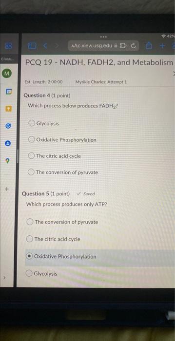 8 Question 6 1 Point Which Process Requires Atp To Get Started The Conversion Of Pyruvate O Oxidative Phosphoryla 3