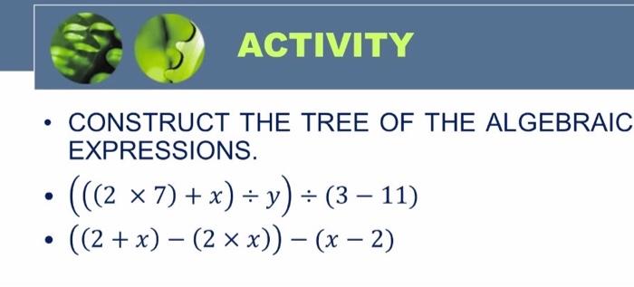 Construct The Tree Of The Algebraic Expressions Activity 2 X 7 X Y 3 11 2 X 2x X X 2 1