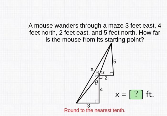 A Mouse Wanders Through A Maze 3 Feet East 4 Feet North 2 Feet East And 5 Feet North How Far Is The Mouse From Its S 1