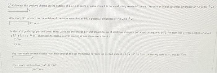 Assume A Length Of Axon Membrane Of About 0 10 M Is Excited By An Action Potential Length Excited Nerve Speed Pulse Dur 6