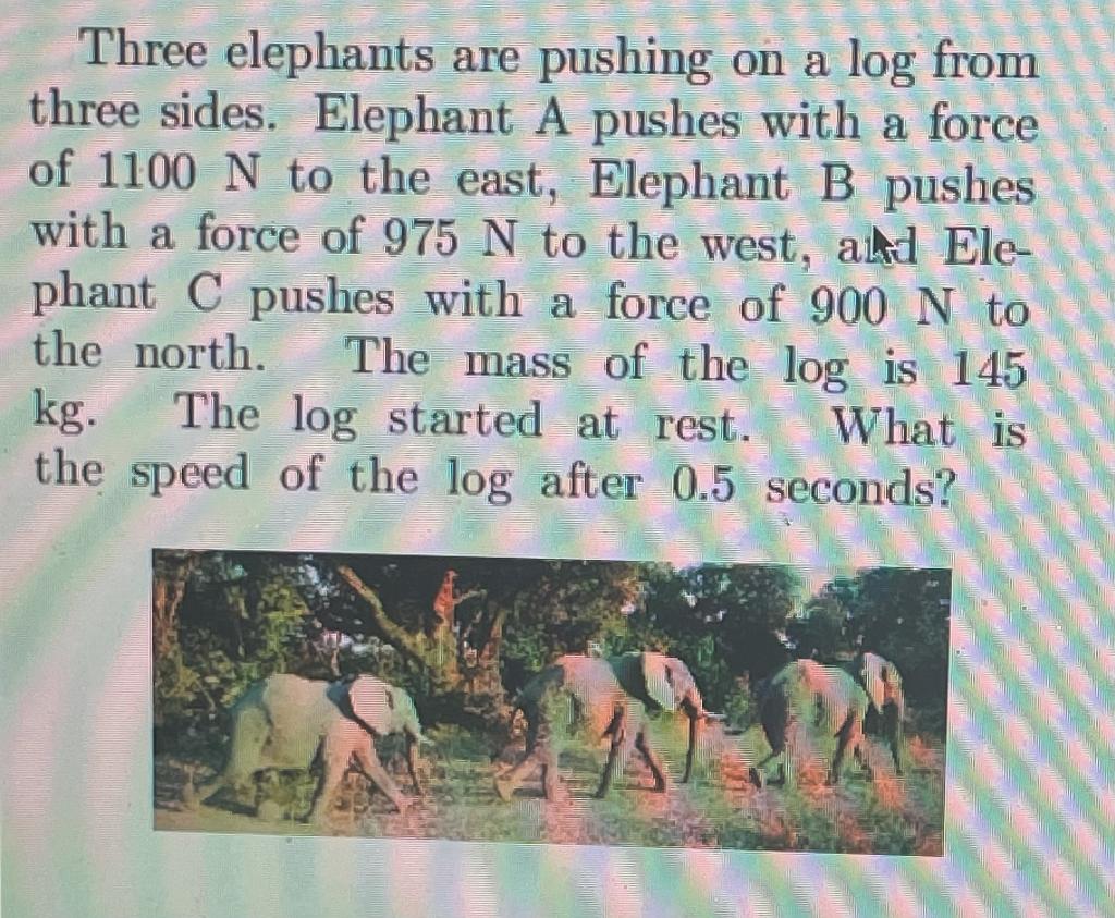 Three Elephants Are Pushing On A Log From Three Sides Elephant A Pushes With A Force Of 1100 N To The East Elephant B 1
