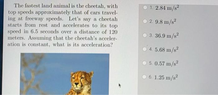The Fastest Land Animal Is The Cheetah With Top Speeds Approximately That Of Cars Travel Ing At Freeway Speeds Let S 1