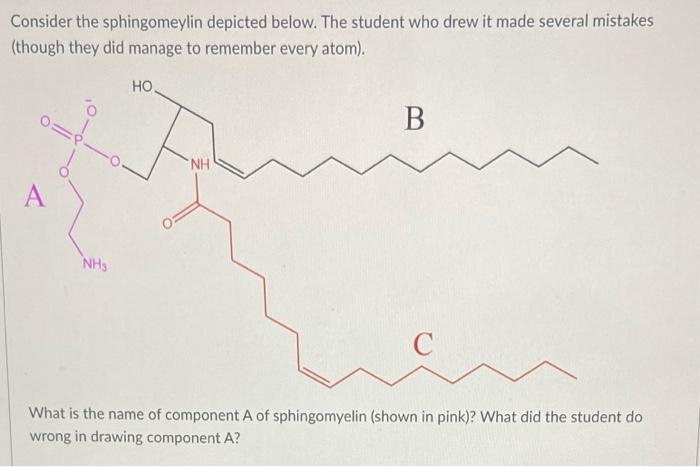 Consider The Sphingomeylin Depicted Below The Student Who Drew It Made Several Mistakes Though They Did Manage To Reme 1