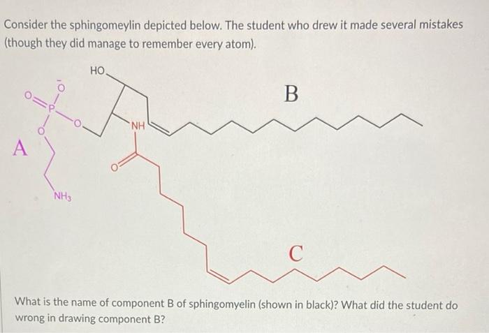 Consider The Sphingomeylin Depicted Below The Student Who Drew It Made Several Mistakes Though They Did Manage To Reme 1