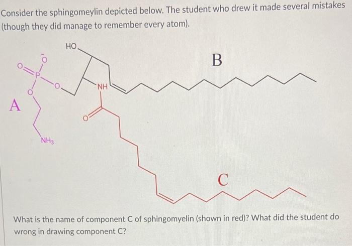 Consider The Sphingomeylin Depicted Below The Student Who Drew It Made Several Mistakes Though They Did Manage To Reme 2
