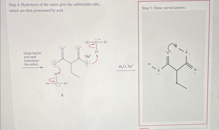 Predict The Major Organic Product Of The Reaction And Complete Its Mechanism 1 Naoev Etoh 2 Ch Ch Br 3 Dilute Naoh 3