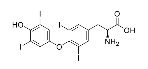Levothyroxine Containing 4 Iodine Atoms An Important Prescribed Medication Is A Form Of Thyroid Hormone Thyroxine I 1