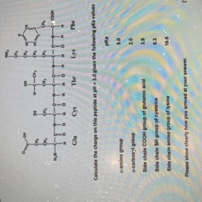 H N Ch Ch Glu Sh Ch A Amino Group Cys Oh H C H Ch C Thr Nh A Carboxyl Group Side Chain Cooh Group Of Glutamic Acid 1