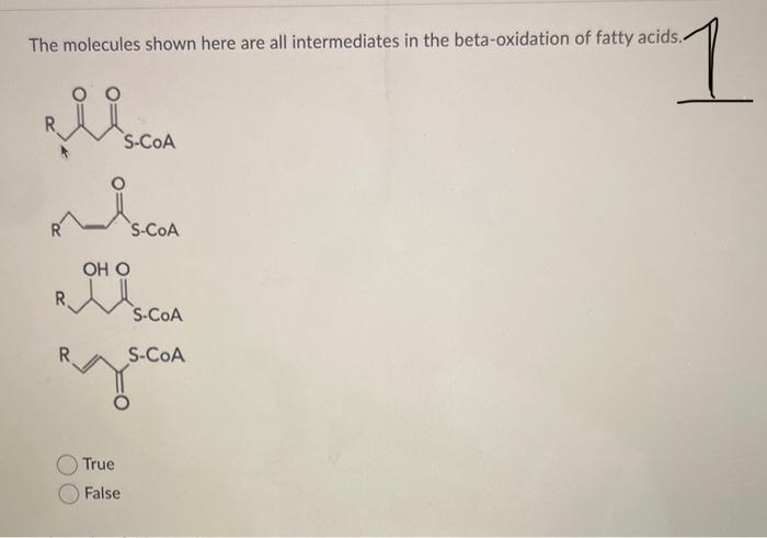The Molecules Shown Here Are All Intermediates In The Beta Oxidation Of Fatty Acids 1 Riis S Coa True False S Coa Oh O 1