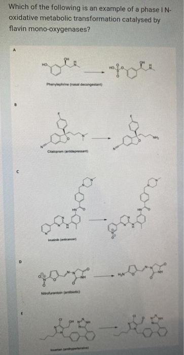 Which Of The Following Is An Example Of A Phase I N Oxidative Metabolic Transformation Catalysed By Flavin Mono Oxygena 1