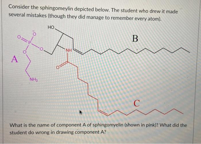 Consider The Sphingomeylin Depicted Below The Student Who Drew It Made Several Mistakes Though They Did Manage To Reme 1