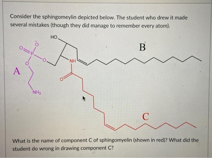 Consider The Sphingomeylin Depicted Below The Student Who Drew It Made Several Mistakes Though They Did Manage To Reme 1